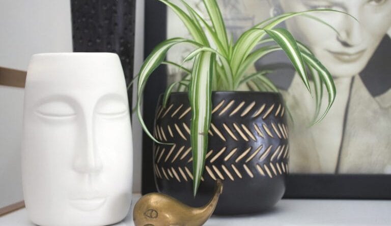 Easy ways to reduce stress and improve mental clarity. 1 wellness img 3